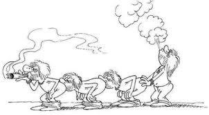 din natura - images.jpg